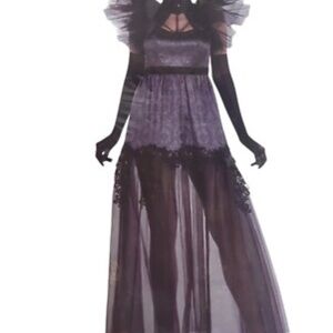 Dark Empress Party City Purple Sheer Maxi Dress Costume